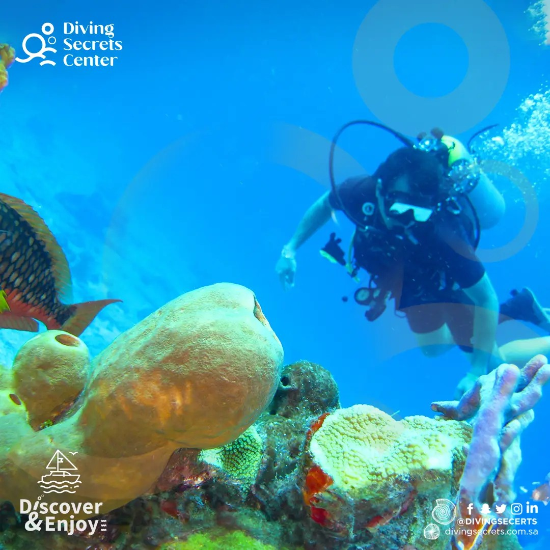 Zaki H. Almubarik - 6 Years