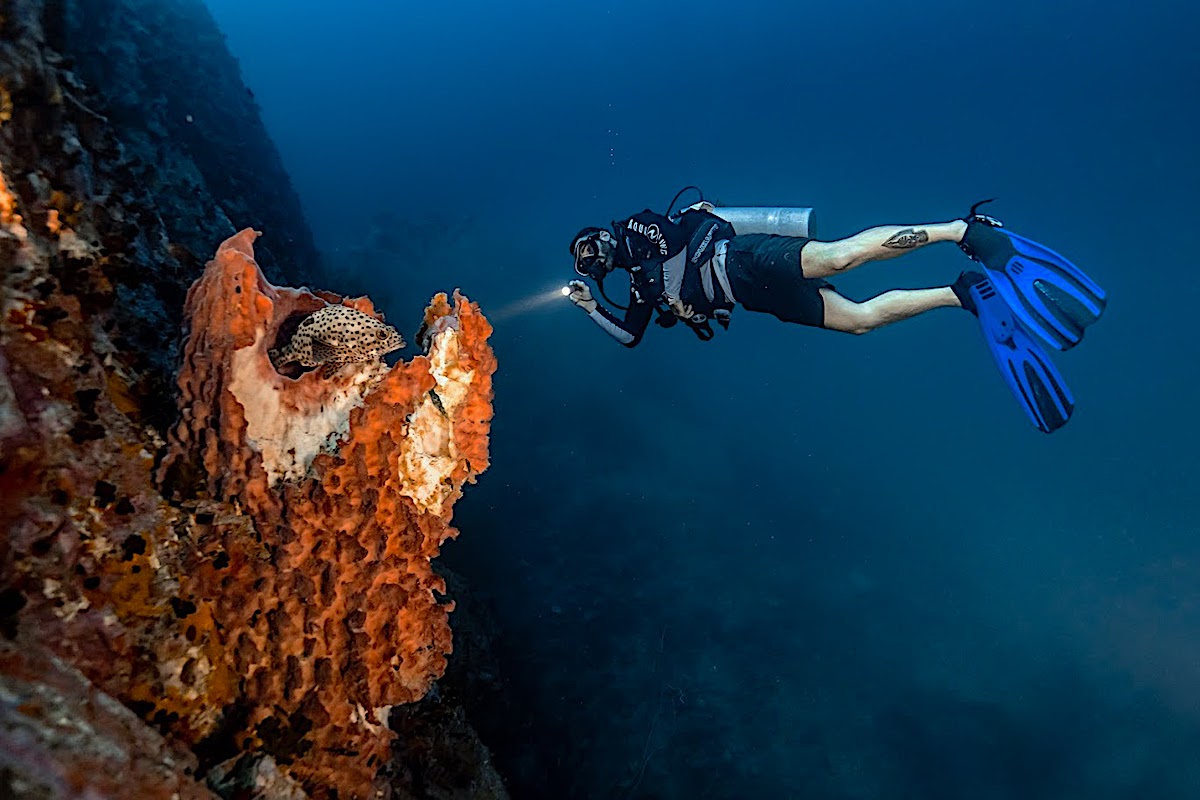 The Benefits of Night Diving