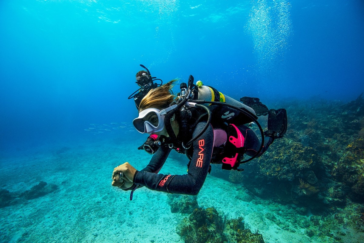 Eco-Conscious Diving: Protecting Our Oceans